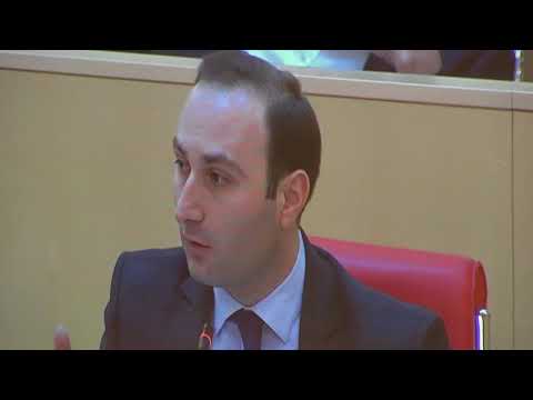 საგაზაფხულო სესიის პირველი სხდომა და ტრადიციული განცხადებები