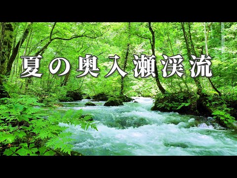 奥入瀬渓流 奥入瀬渓流