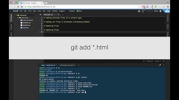 Git - Add Files of a Certain Type
