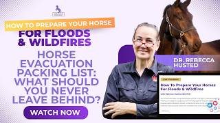 Horse Evacuation Packing List: What Should You Never Leave Behind