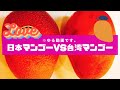 ＜台湾フルーツ＞日本マンゴーと台湾マンゴーを比較してみた/Japanese mango vs Taiwanese mango