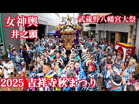 2025 吉祥寺秋まつり 女神輿 井之頭 武蔵野八幡宮大祭