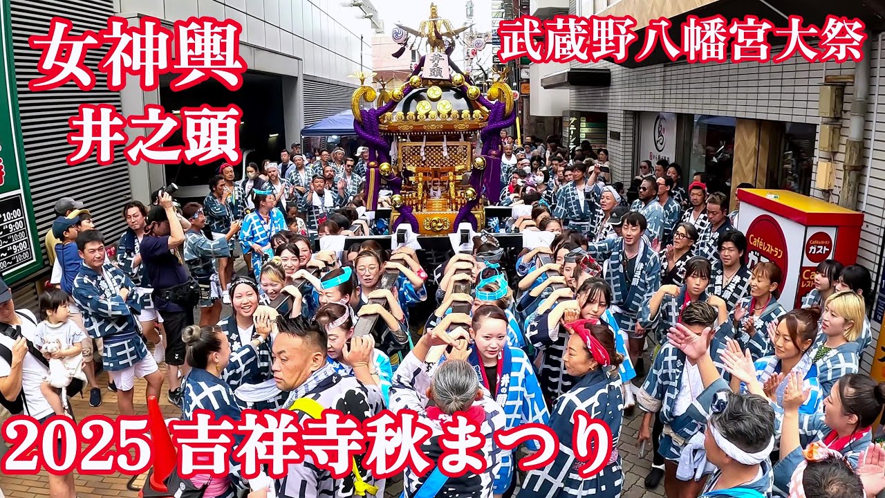2025 吉祥寺秋まつり 女神輿 井之頭 武蔵野八幡宮大祭