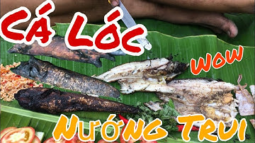 BBT - CÁ LÓC NƯỚNG TRUI RƠM ĐẶC SẢN ĐỒNG QUÊ MIỀN TÂY | Grilled Snakehead Fish with straw