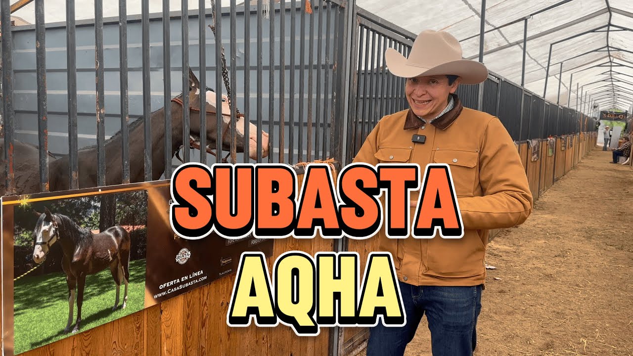 SUBASTA de Caballos EXELENCIA CHARRA!