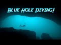 Blue Hole Diving In The Bahamas | JONATHAN BIRD'S BLUE WORLD