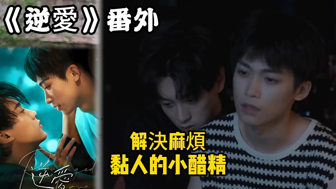 《逆愛》：番外！（36）解決麻煩，接機睡著了，黏人的小醋精。#田栩宁 #梓渝 #吴所畏 #池骋 #逆爱 #revenged