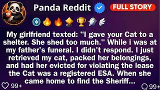 My Girlfriend Texted： ＂I Gave Your Cat To A Shelter  She Shed Too Much ＂ While I Was  Reddit Sto