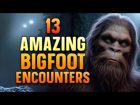 13 AMAZING BIGFOOT ENCOUNTERS
