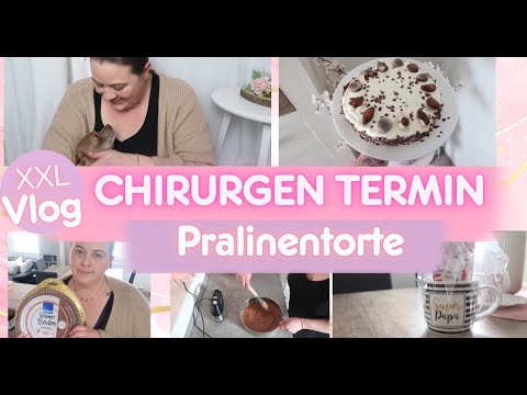 PRALINEN TORTE| NARBENHERNIE| XXL VLOG| Fräulein Jasmin