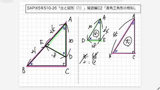 SAPIX5年510-26「比と図形（1）」確認編C2「直角三角形の相似」