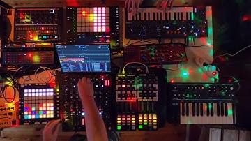 Live@Noreika #jam session recorded on 2024-09-15, VOLUME 2 of 3 (bird