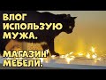 Влог. Отпуск в трудах. Мебельный. Коты мои!