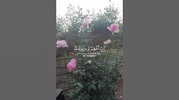 ماتيسر من سورة نوح للقارئ الشيخ محمد صديق المنشاوي رحمه الله ♥️🌿