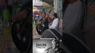 senada cinta bersemi di antara kita sakura musik keren indonesia
