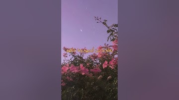 أيه الكرسي [ البقرة: 255] القارئ عبد الباسط عبد الصمد