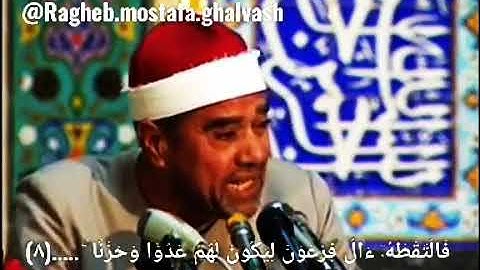 سورة القصص آیة ۹، الشیخ راغب مصطفی غلوش