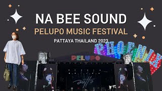 ใครใช้มิกเซอร์รุ่นอะไรบ้างที่ PELUPO MUSIC FESTIVAL | NABEE SOUND VLOG