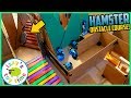 HAPPY THE HAMSTER OBSTACLE COURSE!