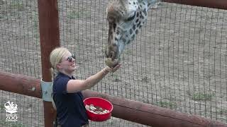 Thanks for your Zookeeper Week Questions!