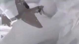 Big bird has Vietnam flashbacks
