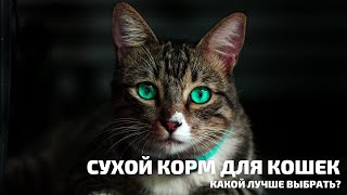 СУХОЙ КОРМ ДЛЯ КОШЕК. КАКОЙ ЛУЧШЕ ВЫБРАТЬ?