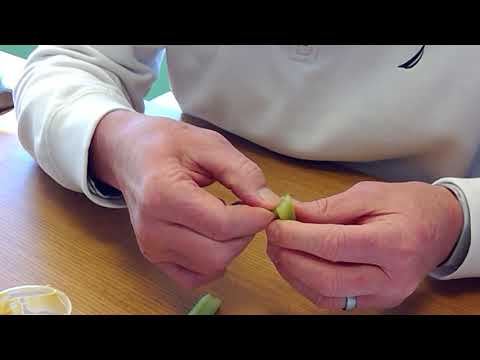 Life Hack:  "Unwrapping" celery