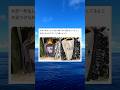 æ¥æ¬èªã®é çªã倧äºããª#shorts#ãããã#Twitter#tiktok