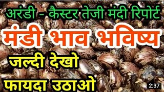 Castor market prices will remain strong future 2025 | Castor Seeds Enjoyment Live// Arandi Bhav t... screenshot 5