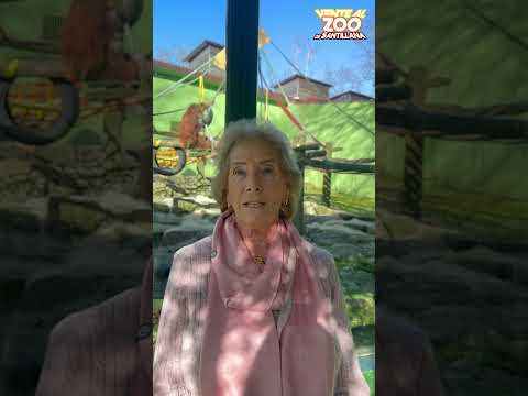 Viviendo en un Zoo: ¡Gracias por las mantas! | Santillana del Mar