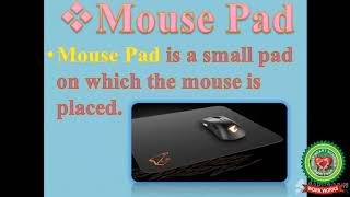 What is a mouse, Applications of mouse|Video 1|Class 2|Computer|Holy Heart Schools