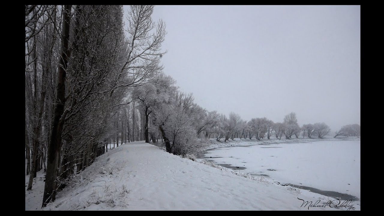 BİR DİKME DİKTİM DE YETİREMEDİM (Şarkışla Türküleri)