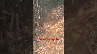 ito ba tlga tamang daan. #extremenduro #enduro #motoroffroad #offroad #adventure #dirtbike #dirtraod