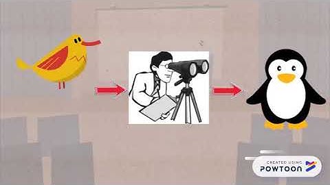 The Demarcation Problem - Summer 2018