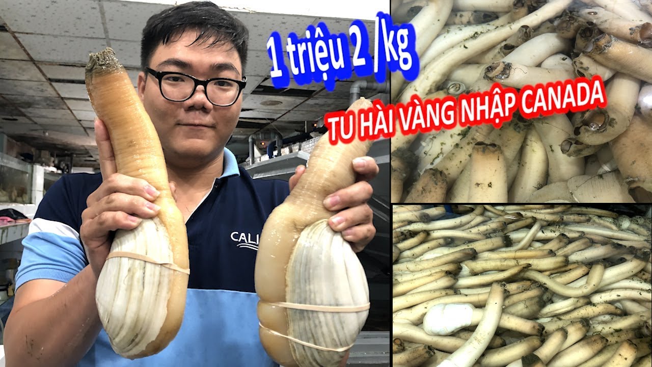 Nơi Duy Nhất Sài Gòn Bán Óc Vòi Voi Quý Hiếm, Tươi... - youtube