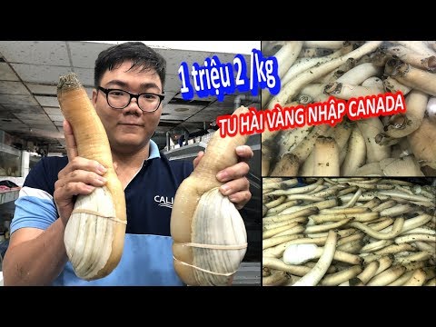 Video Nơi Duy Nhất Sài Gòn Bán Óc Vòi Voi Quý Hiếm, Tươi... - youtube