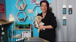 The Tam Talk - What is Kitty Raindrop