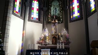 소프라노 박명랑 '주님의 작은 그릇'(180번) 가톨릭 성가 모음, 감곡 매괴 성당