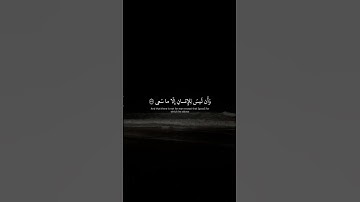 وَأَن لَيسَ لِلإِنسانِ إِلّا ما سَعى | سورة النجم | بصوت جميل وهادئ