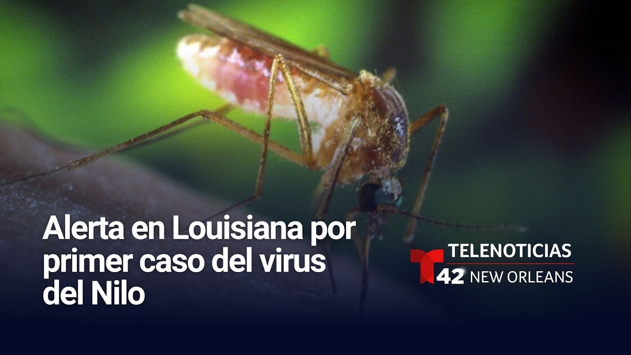 🔴 Noticiero Completo Lunes, 20 de Julio de 2026 - Telemundo New Orleans