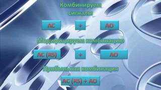 12 лет ПРИБЫЛЬНЫЙ сигнал AC(RS) + AO 12 лет ПРИБЫЛЬНЫЙ сигнал AC(RS) + AO