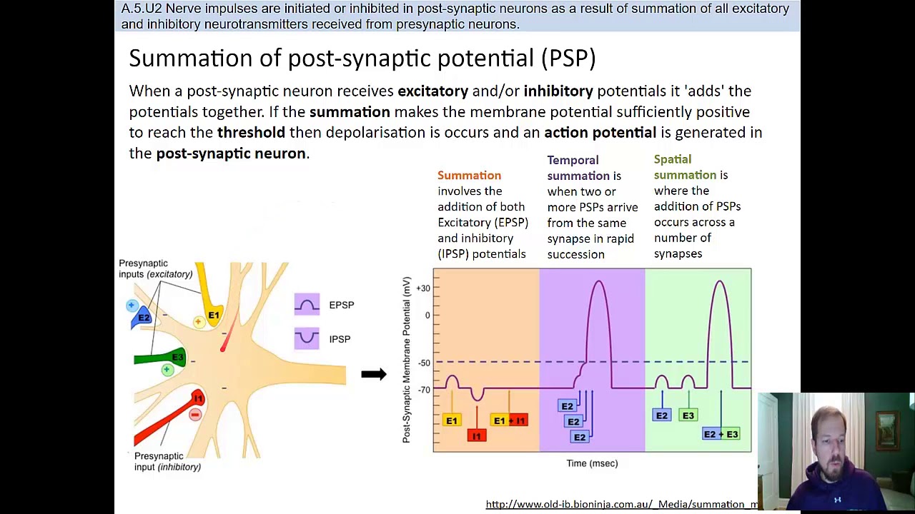 Neuropharmacology Part 1 YouTube