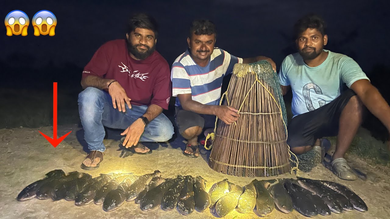 నా లైఫ్ ల ఇన్ని కొర్రమీను చేపల్ని ఎప్పుడు పట్టలేదు మామ bros  Catching Snakeheads On Live