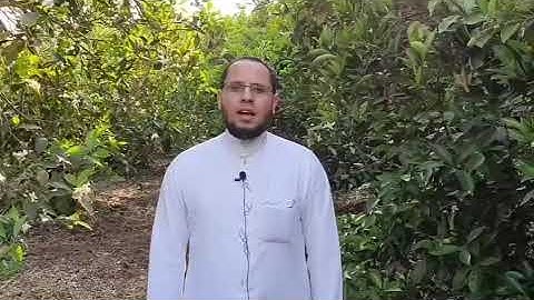 عبدالسلام أبوالنجا ( ما تيسر من سورة آل عمران )