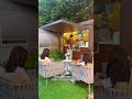 Have you ever seen such an outdoor kitchen#foryou #garden #kitchen