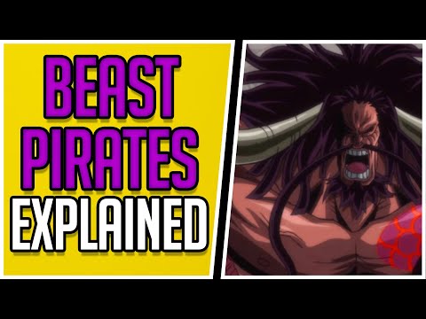 The Beast Pirates Explained | One Piece