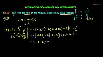 SK | 12th | Maths | CH-01-LE-20 | Ex 1.2 - Sum 1-iv | Applications of Matrices & Determinants