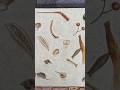Unswept Floor Mosaic (c. 2nd century AD), One Minute Art #art #mosaic