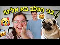 בני הכלב בא אלינו הביתה סוף סוף!!! *האיחוד המרגש*