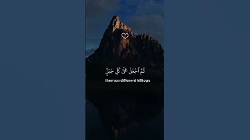 وإذ قال إبراهيم ربي أرني كيف تحيي الموتى إذا خشع صوت الشيخ فكيف لا تخشع قلوبنا 